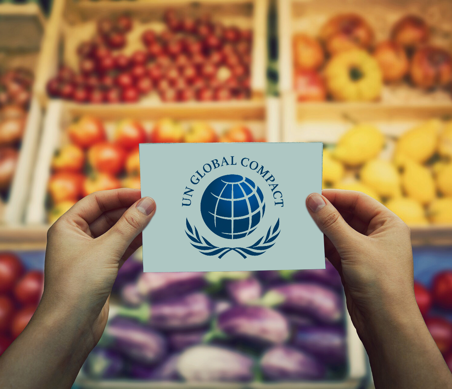 Sustainability - GC Rieber